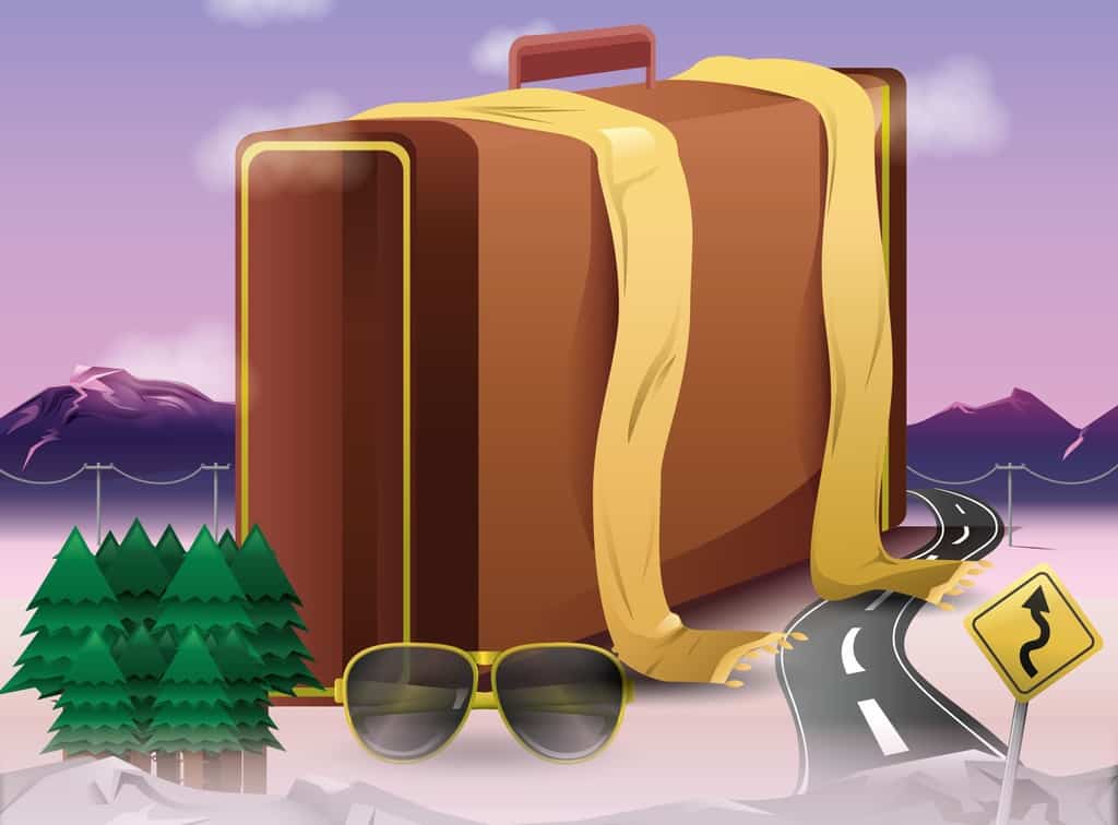 Travel items (suitcase, sunglasses, etc)