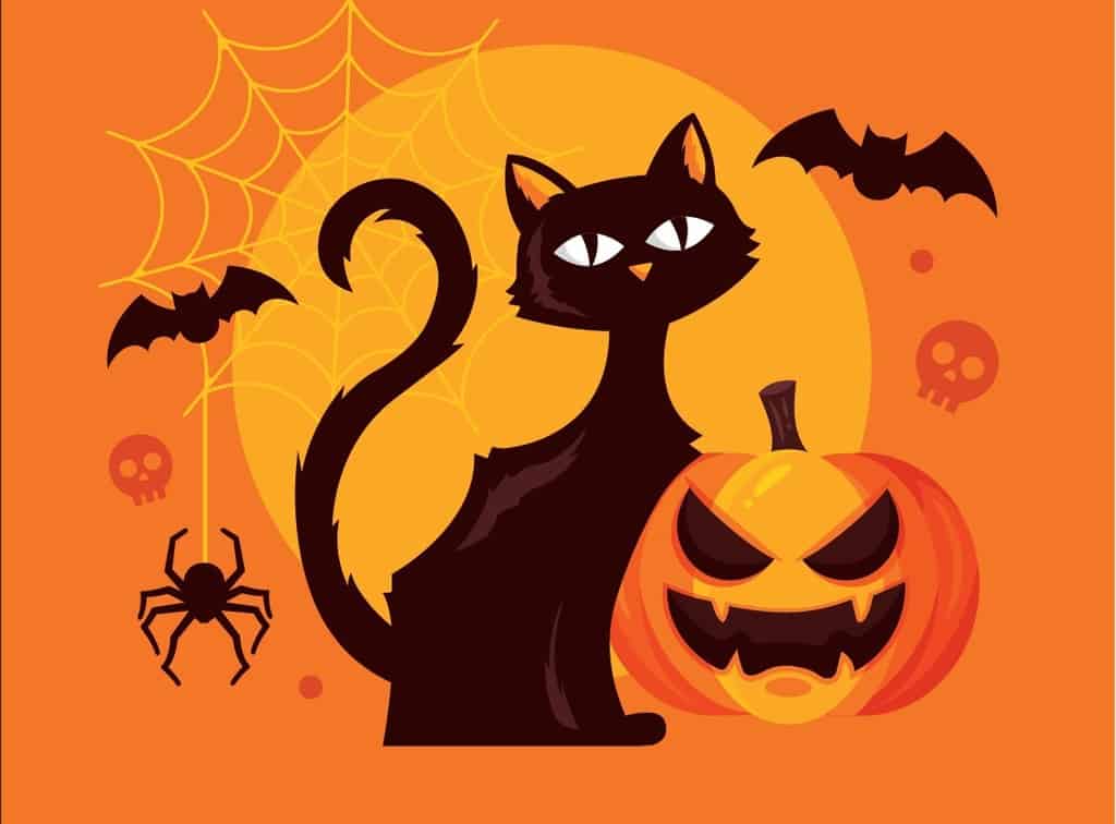 Cartoon cat with bats and pumpkin