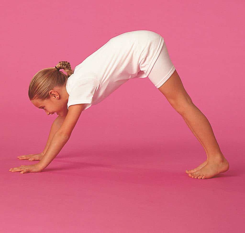 Down Dog Pose