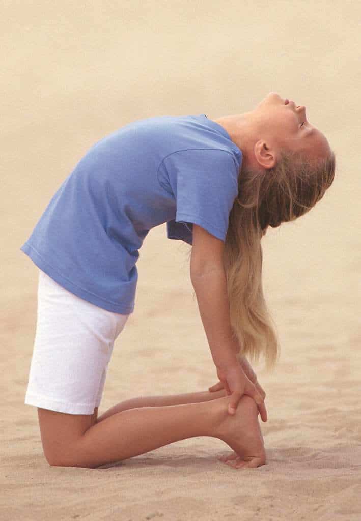 Dromedary Delight Pose