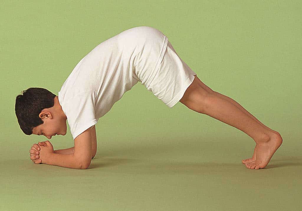 Spouting Dolphin Pose