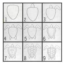 how to draw a turtle
