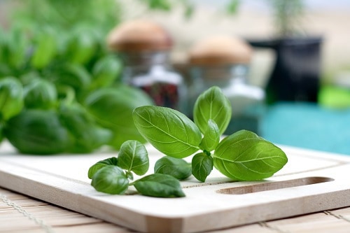 Basil