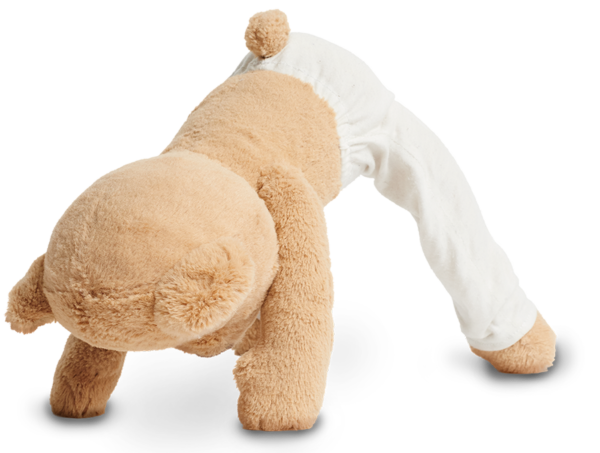 Meddy-Teddy-Downward-Dog-Pose